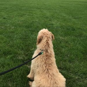 Meet your Posher, Thu